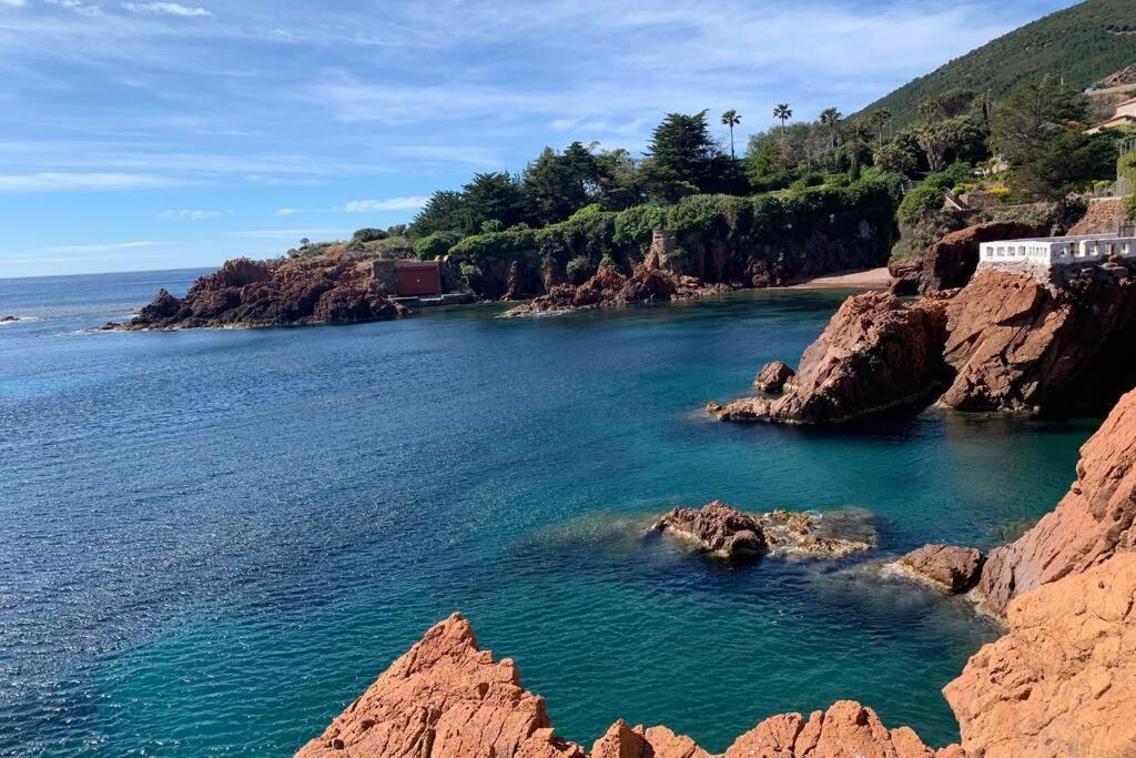 Cap Neree Petit Coin De Paradis Pieds Dans L Eau Saint-Raphaël 외부 사진